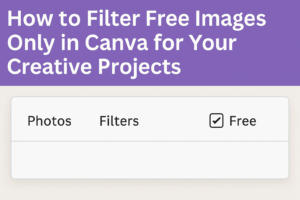 How to Filter Free Images Only in Canva for Your Creative Projects ...