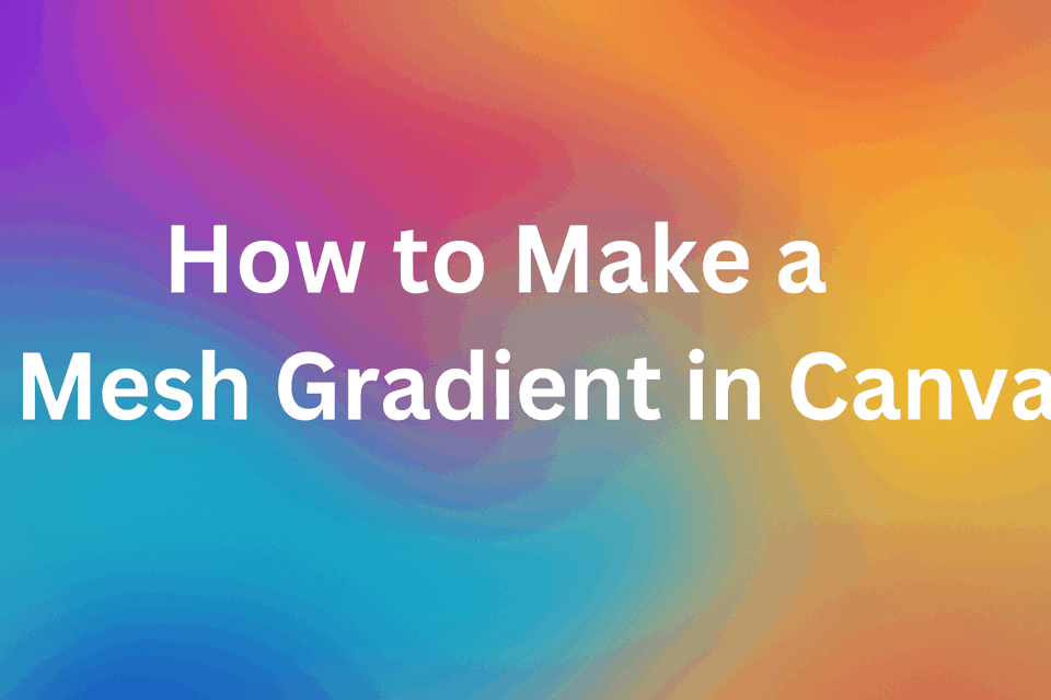 How to Make a Mesh Gradient in Canva
