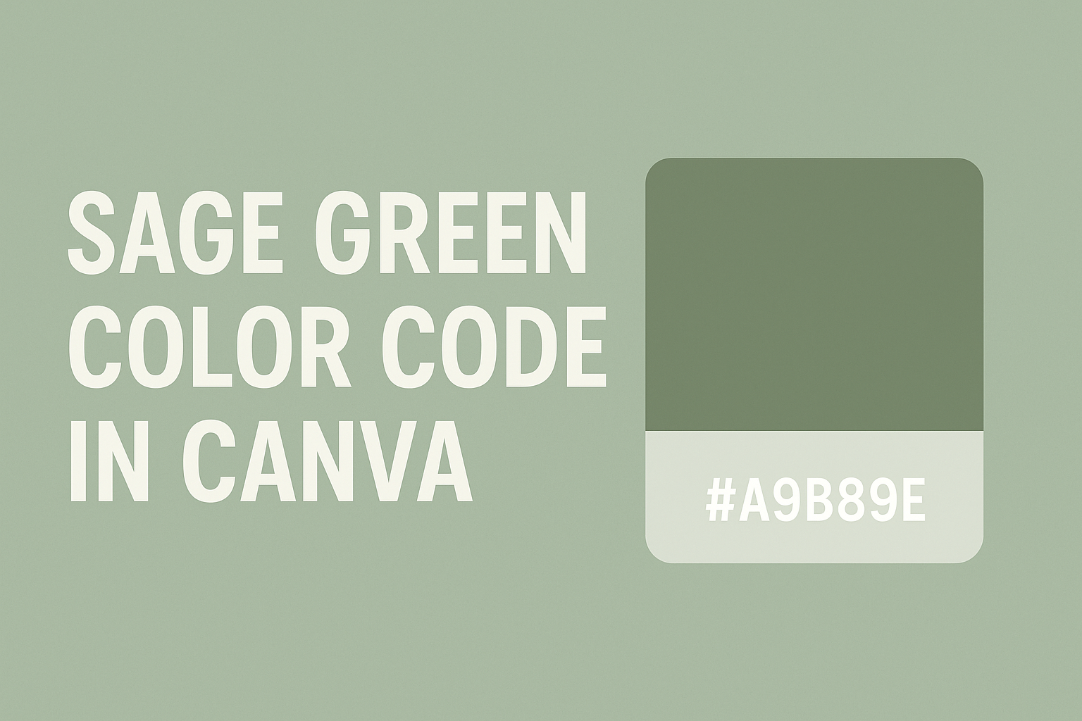 Sage Green Color Code in Canva